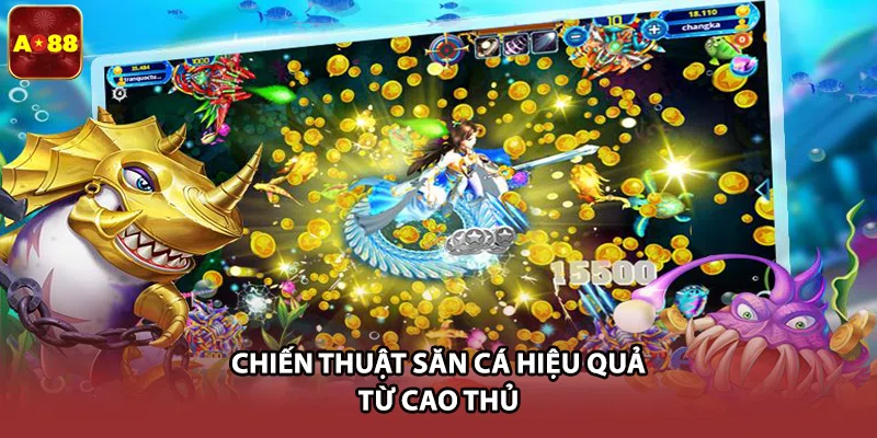 Chiến thuật săn cá hiệu quả từ cao thủ