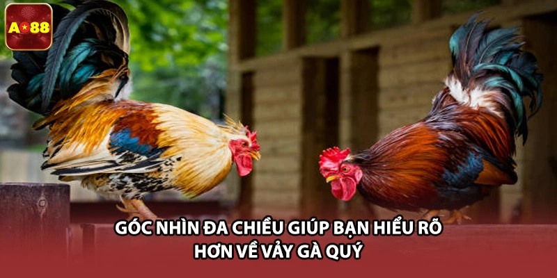 Góc nhìn đa chiều giúp bạn hiểu rõ hơn về vảy gà quý