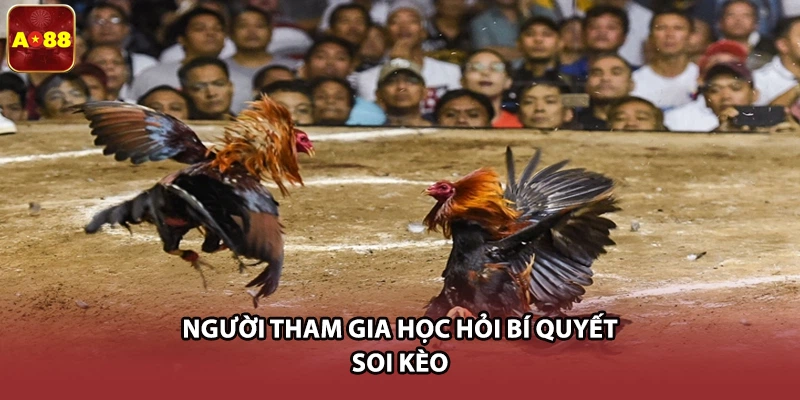 Người tham gia học hỏi bí quyết soi kèo